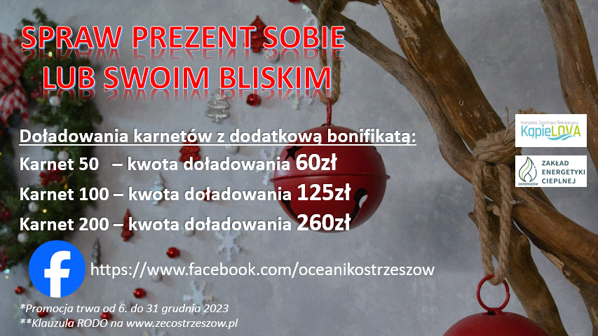 Read more about the article Świąteczna promocja